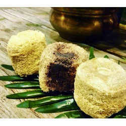 LOUFAH SOAP